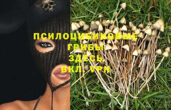 мескалин Карпинск