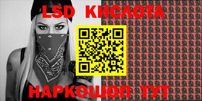 стафф Кингисепп