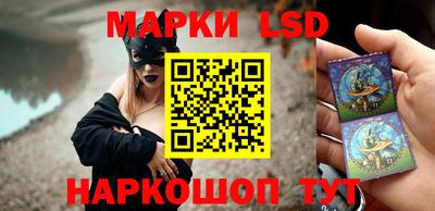 стафф Кингисепп