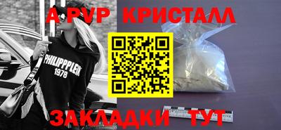 стафф Кингисепп