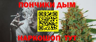 стафф Кингисепп