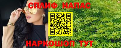стафф Кингисепп