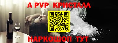 стафф Кингисепп