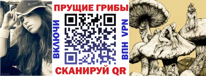 Галлюциногенные грибы MAGIC MUSHROOMS  Нефтекамск 