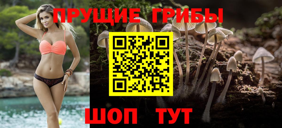 Галлюциногенные грибы Psilocybine cubensis  Галлюциногенные грибы мицелий  Вход с VPN  Нефтекамск 